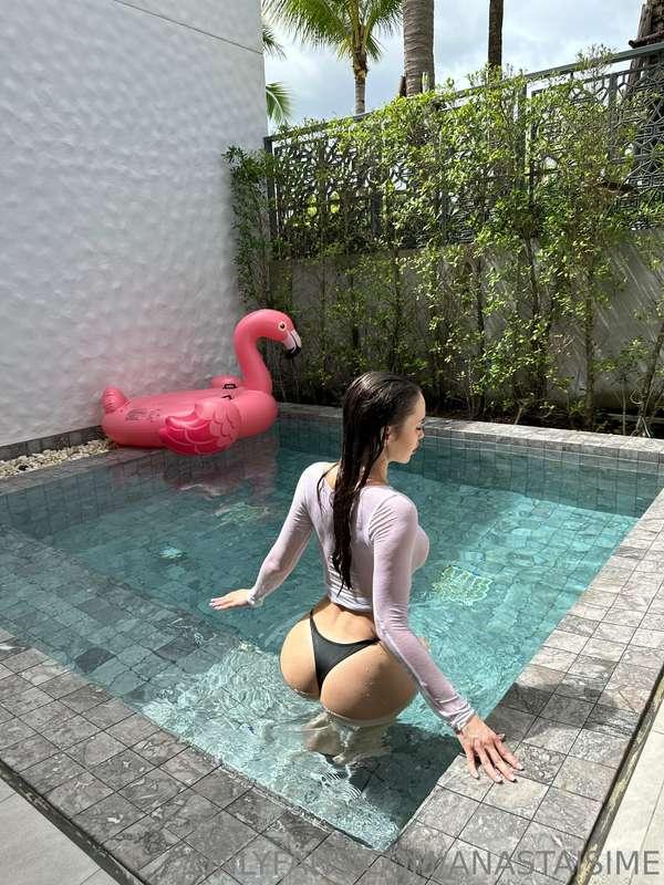 anastaisime image #1