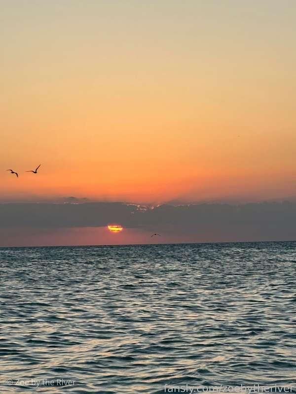 zoebytheriver image #36