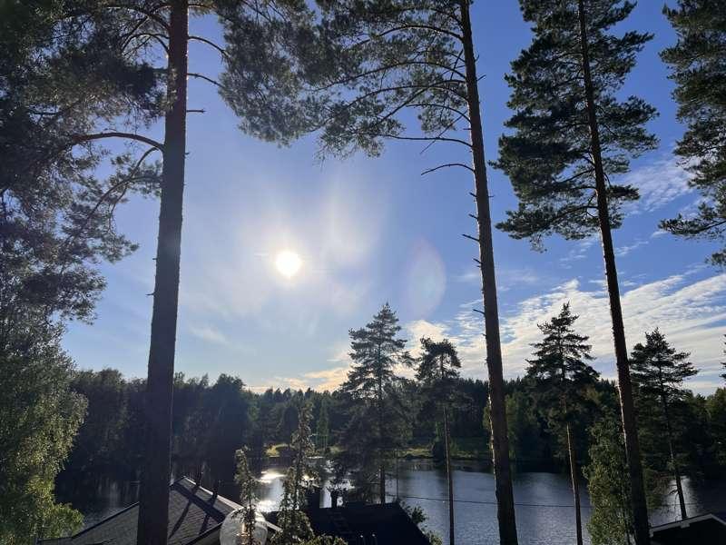 Happy midsummer guys!