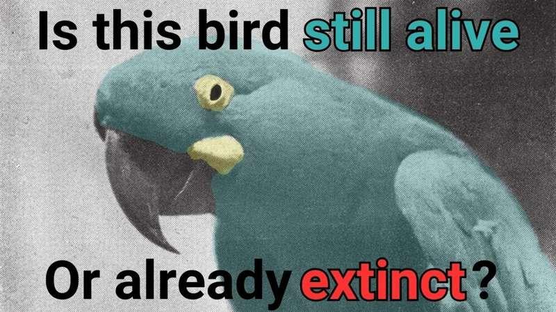 all%20tingles%20asmr%202 main image
