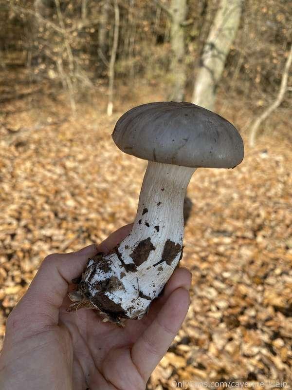 cayenne_klein_ image #5