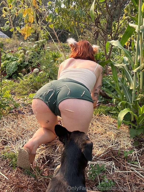 Are you into the countryside theme? Take my butt in the hay ..