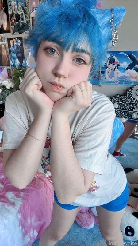 indigowhite image #95