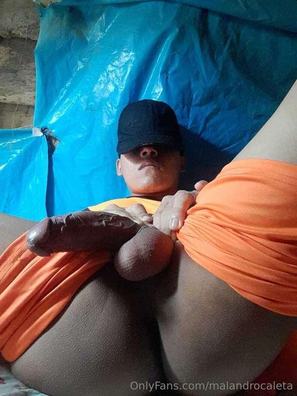 Chupas culito y verga 😍 amo estos chacales 😍😍😍