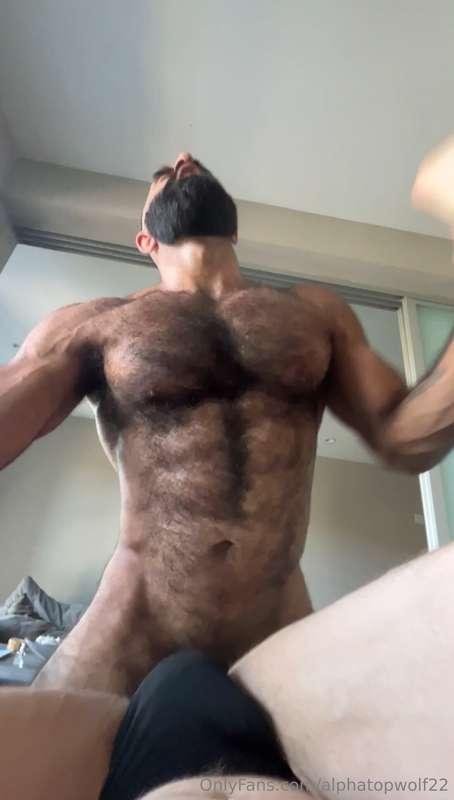 alphatopwolf22 image #12