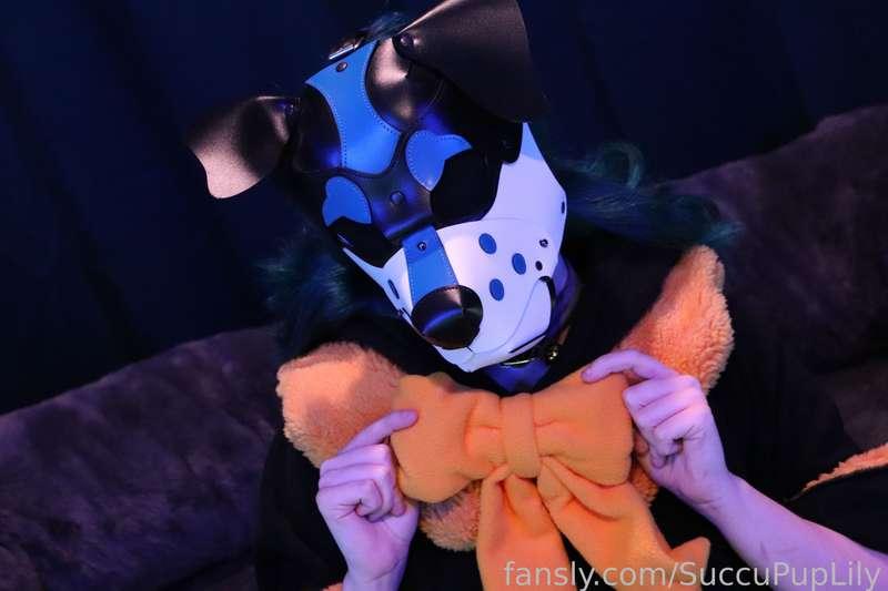 succupuplily image #12