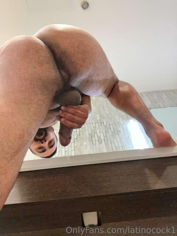 latinocock1 image #2