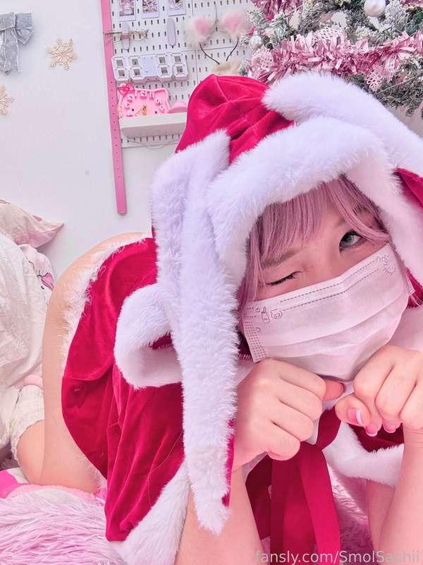 smolsachii image #0