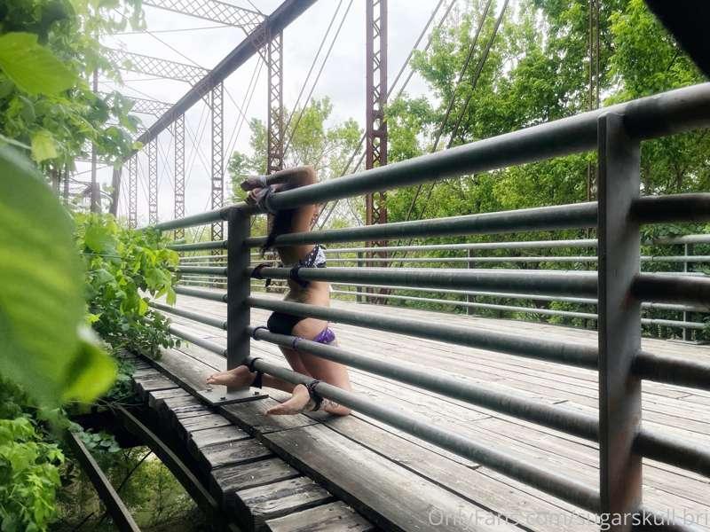 sugarskull.bri image #0