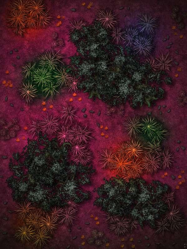 Rainbow Jungle