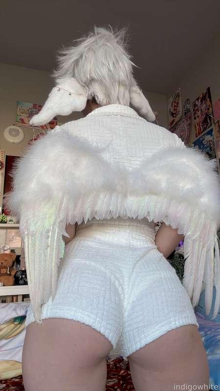indigowhite image #173