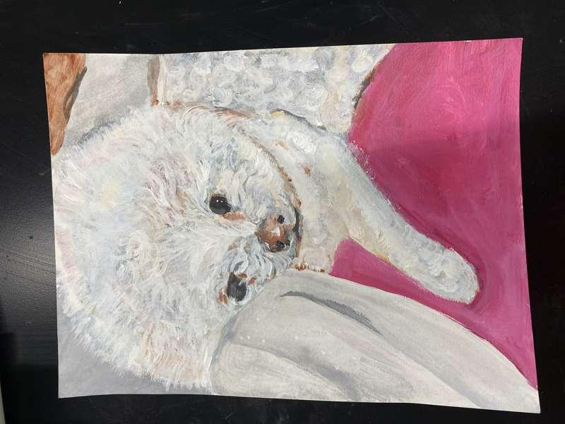  Animal Art I’ve done <3