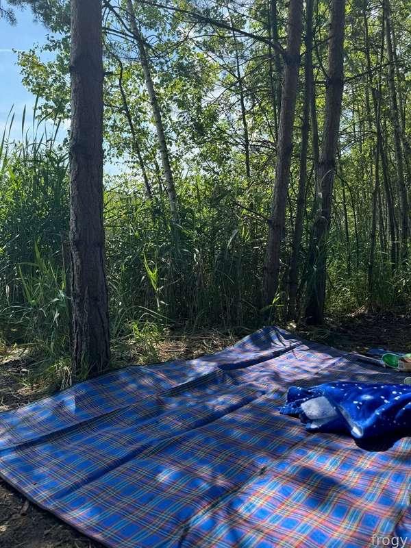 what a blessing it is to be so close to nature! ☘️ to sit on the shore of a lake surrounded by a forest and feel the warmth of the sun on your skin. rustle of leaves, the singing of birds, the sound of waves hitting the shore — all this creates an atmosphere of complete peace and harmony. 
I like to just lie on the sand, close my eyes, and soak up all this splendor. and then — dive into the cool water of the lake, swim, feel like a full-fledged water froggy 🐸 at such moments, I feel happy and free. I would be happy to share this day with you what you think?

♡ #young #tiny #cute #fyp #blonde #shorthair #natural ♡