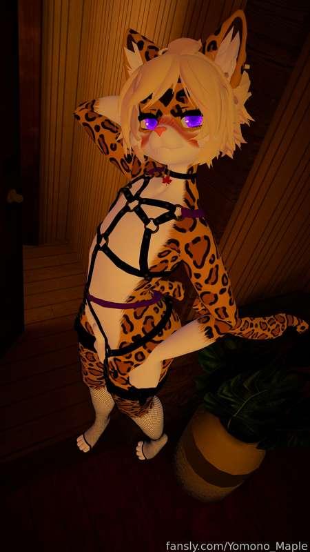 yomono_maple image #3