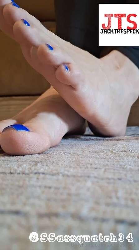 jackdaspeck image #0