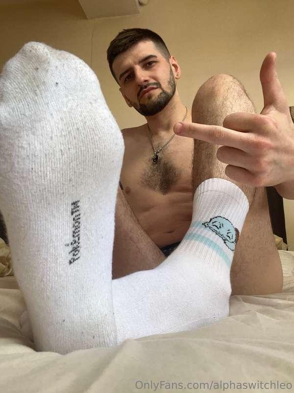 alphaswitchleo image #4