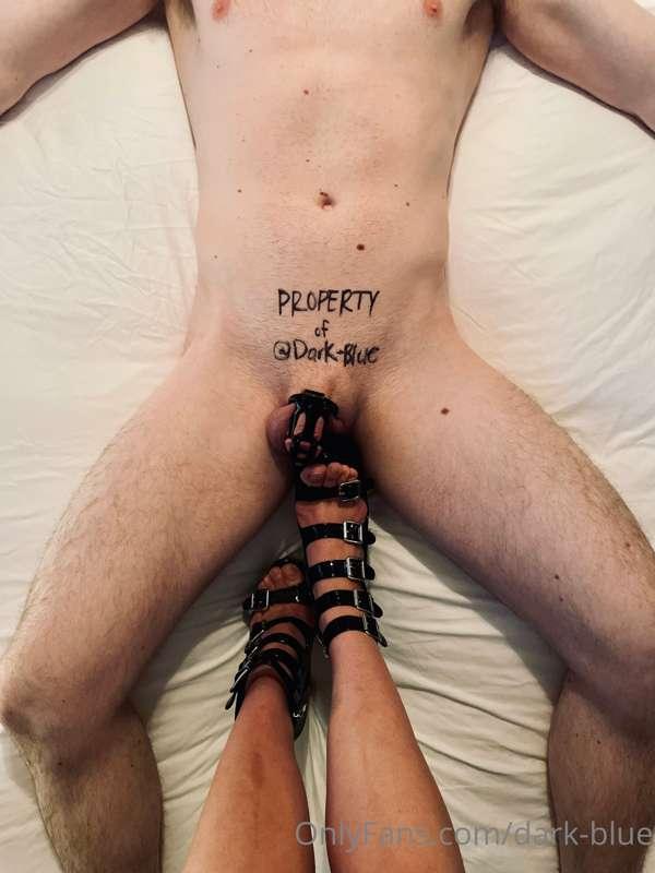 dark-blue main image