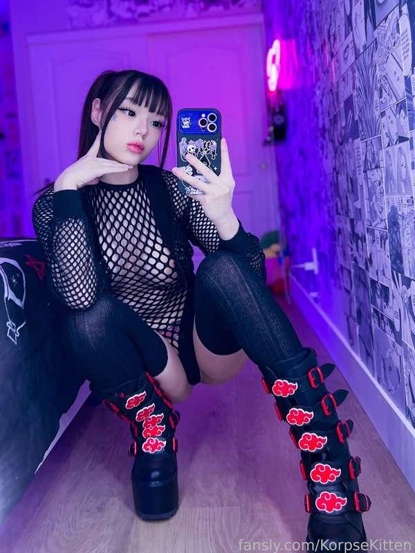 korpsekitten image #1