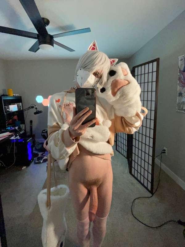 catboiaoi image #0