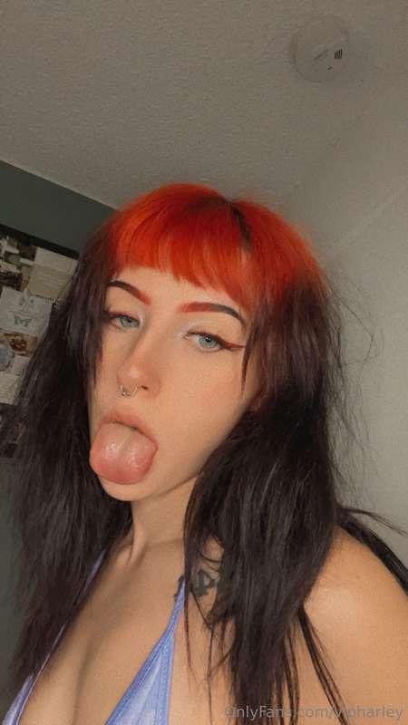 harley_fayevip image #0