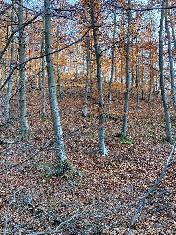 cayenne_klein_ image #9