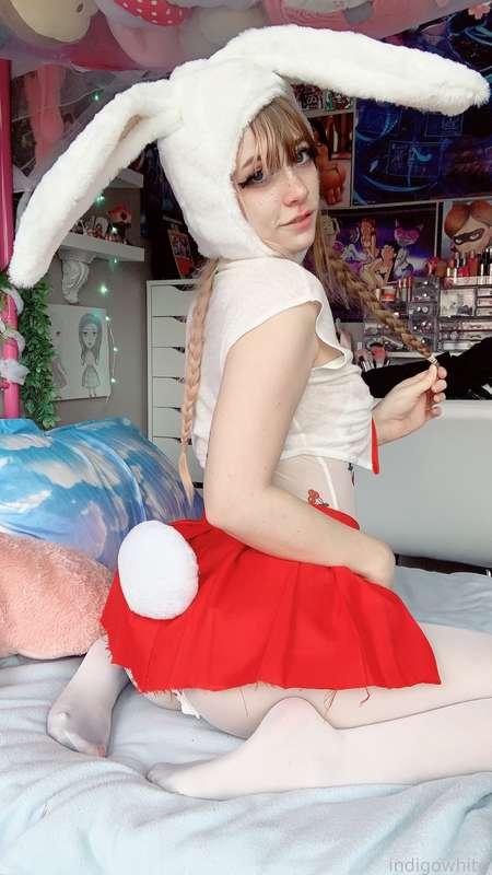 indigowhite image #128