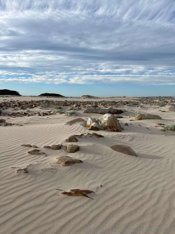 missalexthorn image #11