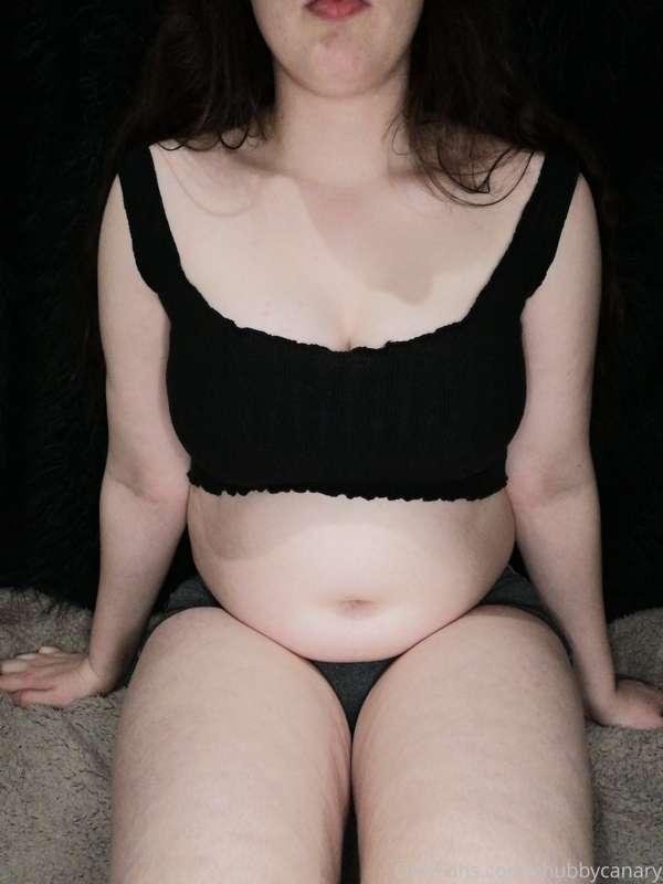 chubbycanary image #6