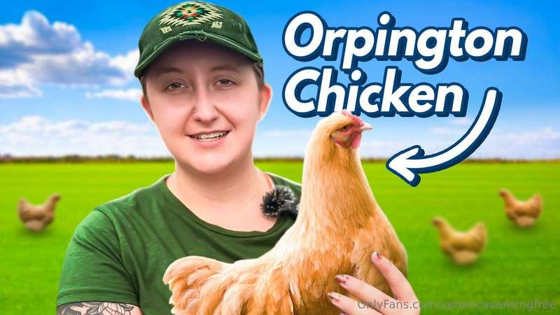 Why I Chose Orpington Chickens 🐥I’m chatting all about Orpin..