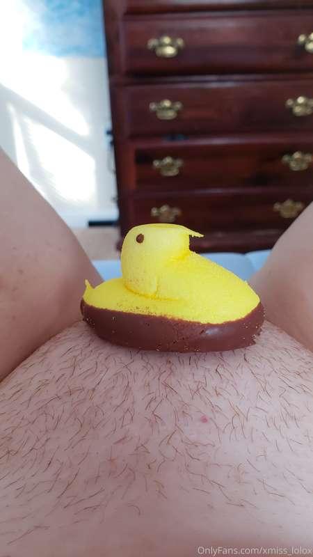 Hoppy Easter 🐣💛 @misslolo