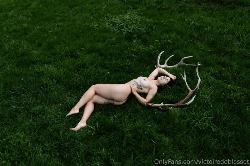 Wild by Camille Demolliens