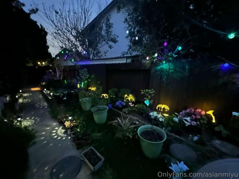 More lights added in the yard 😊!