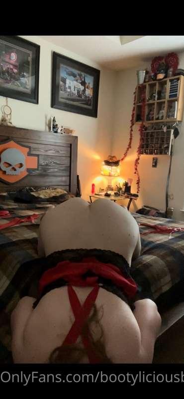 Your view while I suck your cock