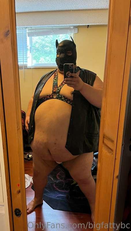 I may not be a bear anymore but I can still be a pup!..a pig..
