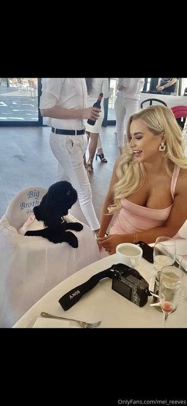 Sorry I’v been quiet on here for two days. My dog Gizmo is p..