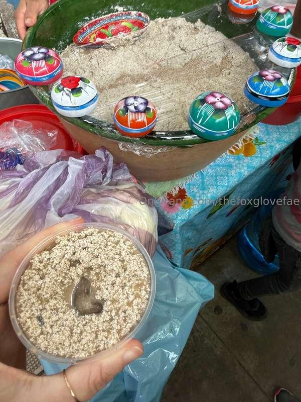 thefoxglovefae image #4