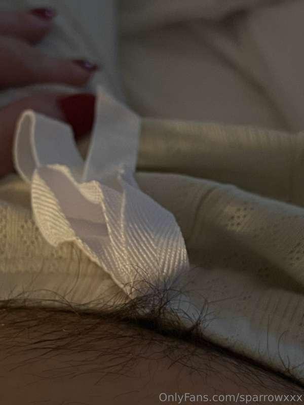 sparrowxxx image #5