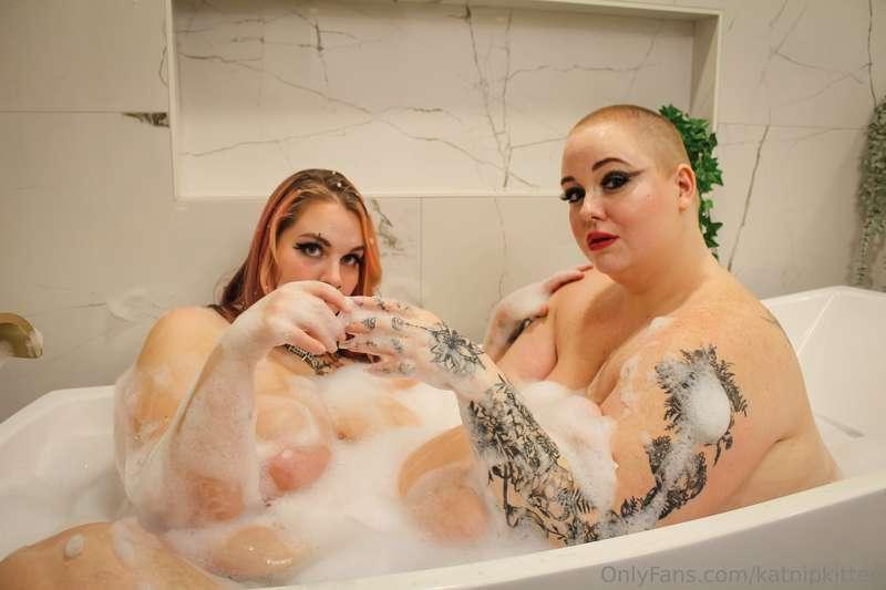 katnipkitten image #6