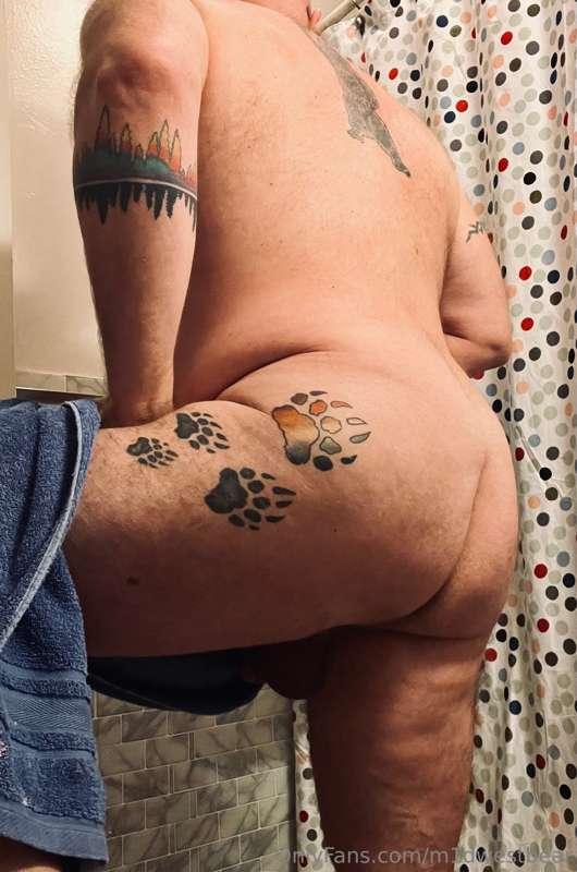 m1dwestbear image #13