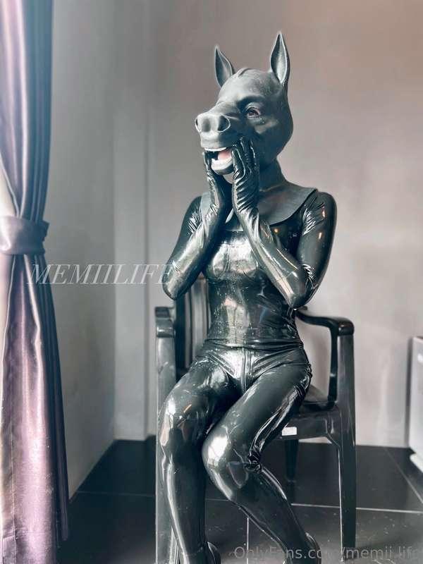 Horse Silicone Mask 🐴🐴❤️