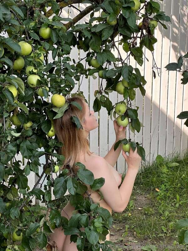 I'll eat apples in the garden to make you a charlotte🤤