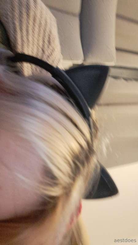 aestdoes image #0