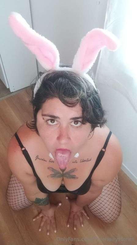 🐰 @friesandkinks 🐰