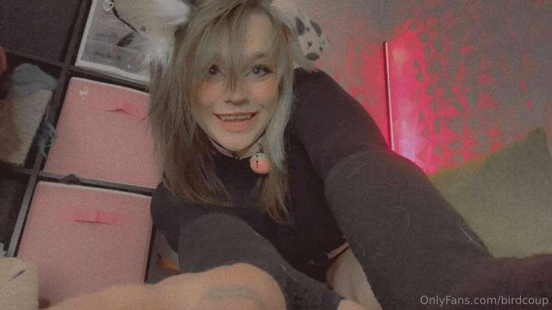 I'm just a Puppygirl, living in a Puppy world 🐶💗