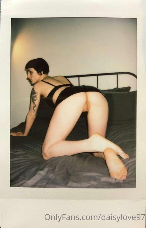 daisylove image #1