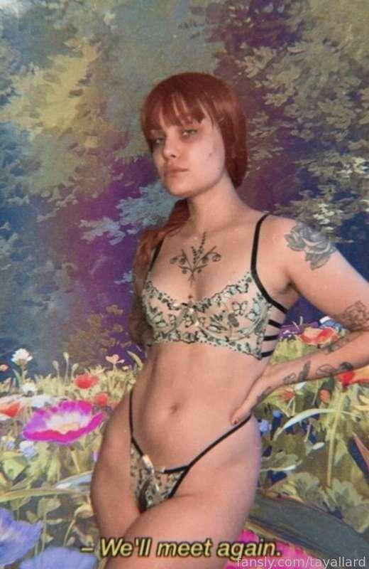 tayallard image #3