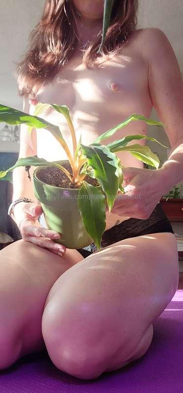Need a little pick me up? Come get some plant therapy!