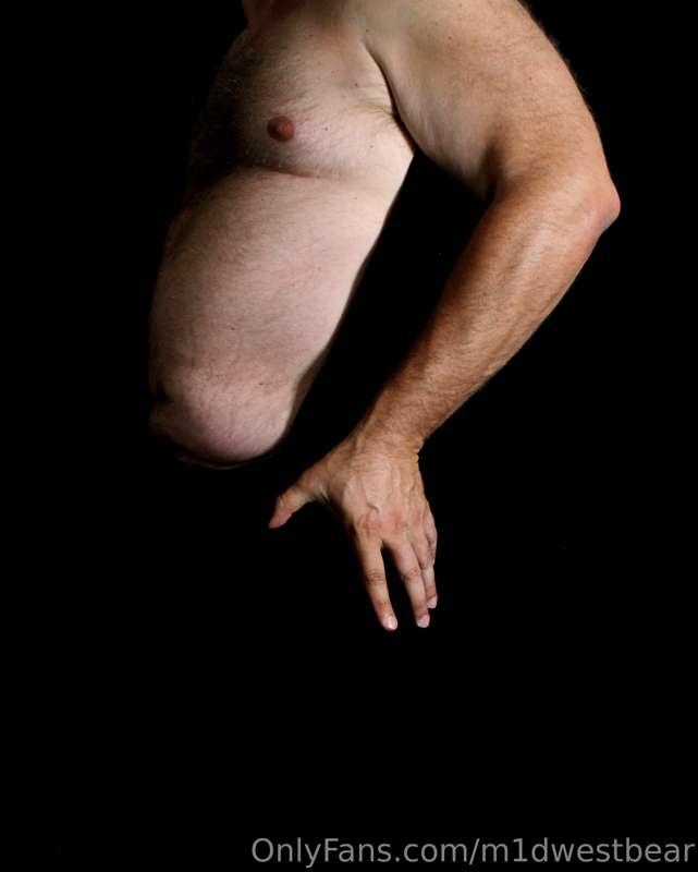 m1dwestbear image #16