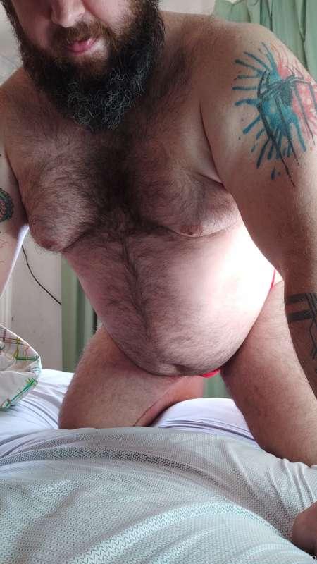 bearpamp main image