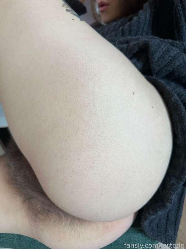 lostodg image #2